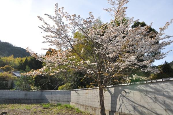 京都市右京区嵯峨鳥居本小坂町の土地