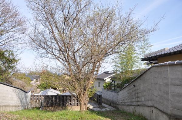京都市右京区嵯峨鳥居本小坂町の土地