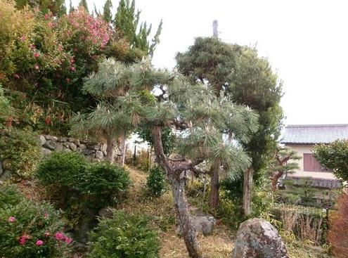 京都市右京区太秦中山町の中古一戸建て