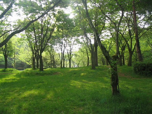 京都市左京区岩倉幡枝町の中古一戸建て(宝が池公園)