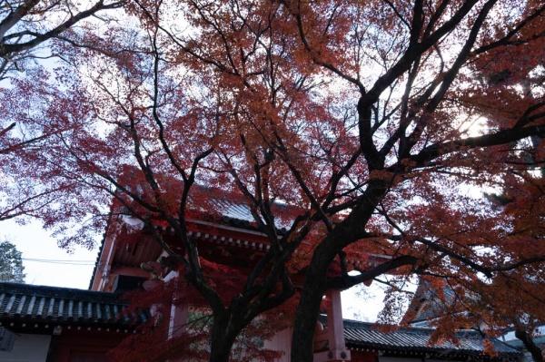 京都市左京区浄土寺真如町の中古一戸建