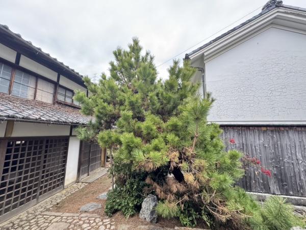 京都市右京区嵯峨水尾武蔵嶋町の中古一戸建