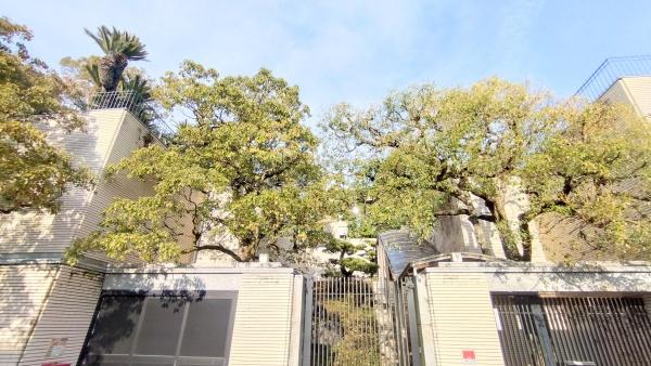 京都市右京区御室岡ノ裾町の中古一戸建