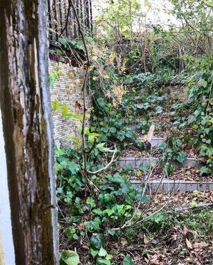 大津市和邇高城の売土地