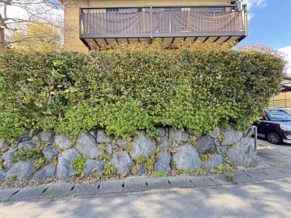 京都市右京区嵯峨釈迦堂藤ノ木町の中古一戸建て
