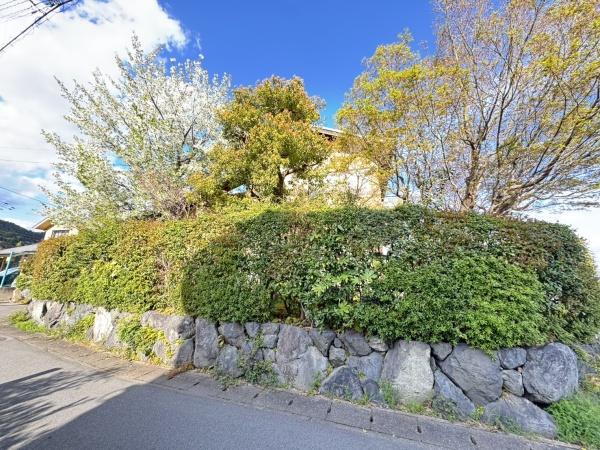 京都市右京区嵯峨釈迦堂藤ノ木町の中古一戸建