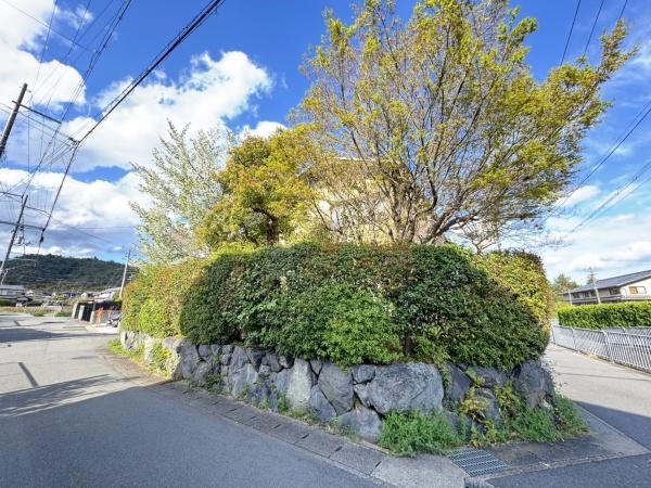 京都市右京区嵯峨釈迦堂藤ノ木町の中古一戸建