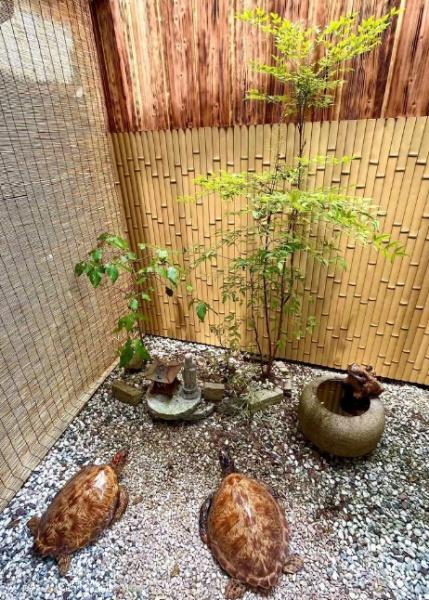 京都市中京区壬生森前町の中古一戸建