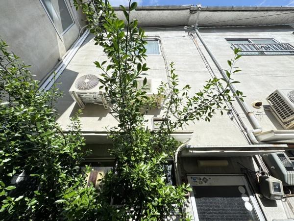 京都市北区紫野中柏野町の中古テラスハウス