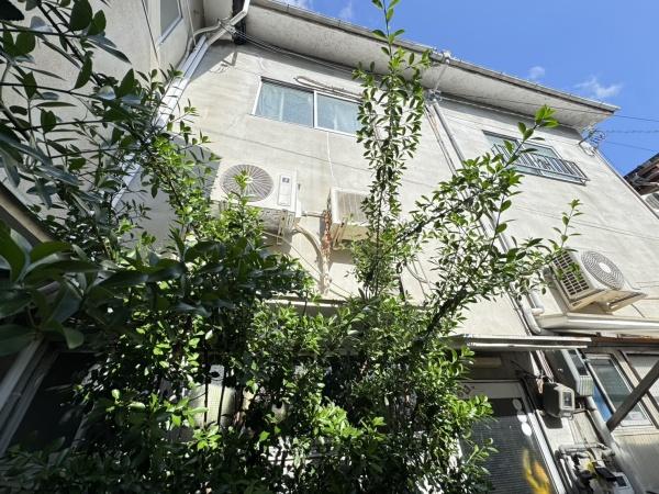 京都市北区紫野中柏野町の中古テラスハウス