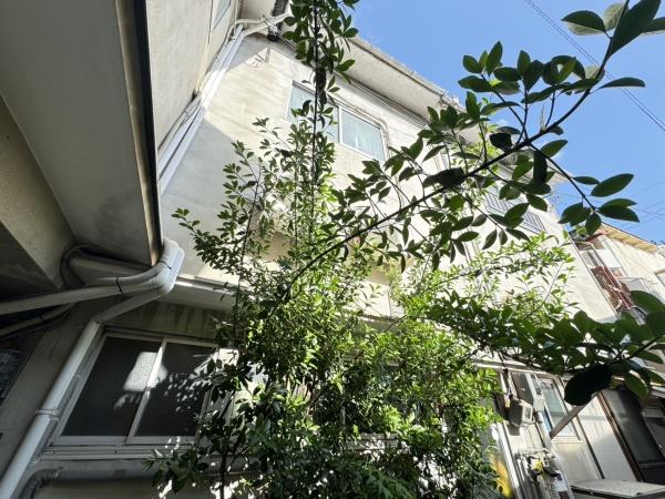 京都市北区紫野中柏野町の中古テラスハウス
