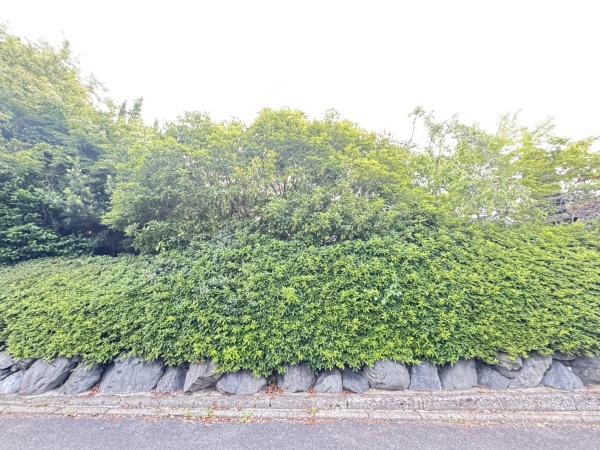 大津市比叡平１丁目の中古一戸建て