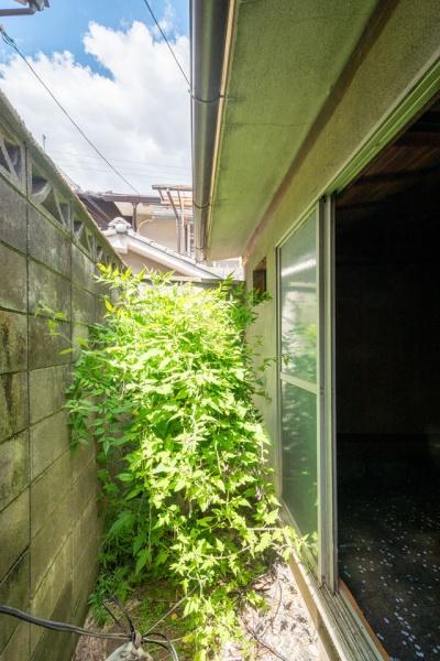 京都市左京区岡崎西福ノ川町の中古一戸建て