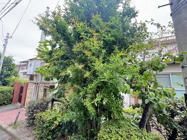 京都市伏見区桃山南大島町の中古一戸建て