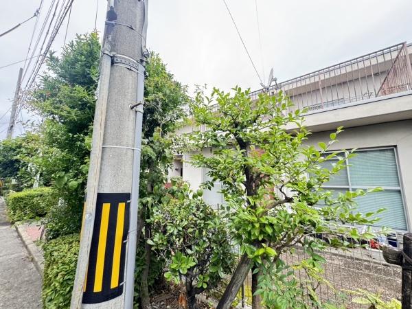 京都市伏見区桃山南大島町の中古一戸建て