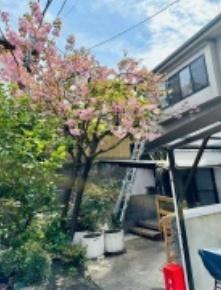 京都市南区八条源町の中古一戸建