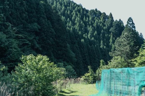 大津市葛川坂下町の中古一戸建て