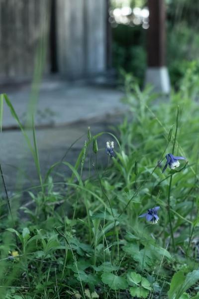 大津市葛川坂下町の中古一戸建て