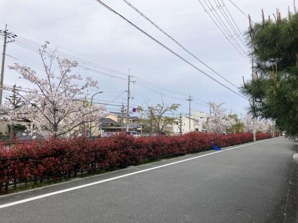 京都市西京区下津林六反田の土地