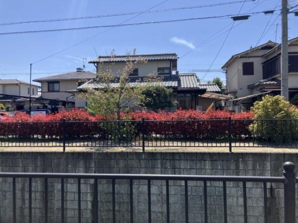 京都市西京区下津林六反田の土地