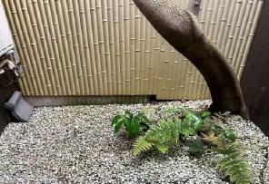 京都市東山区梅宮町の中古テラスハウス