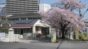 大津市本宮２丁目の土地(大津市立逢坂保育園)
