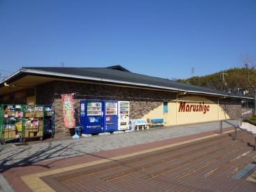 京都市西京区大枝南福西町２丁目の土地(マルシゲ洛西福西店)