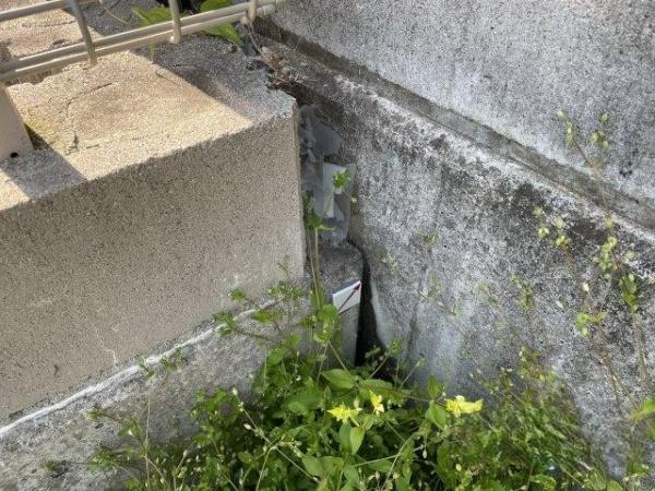 京都市左京区岩倉南木野町の土地