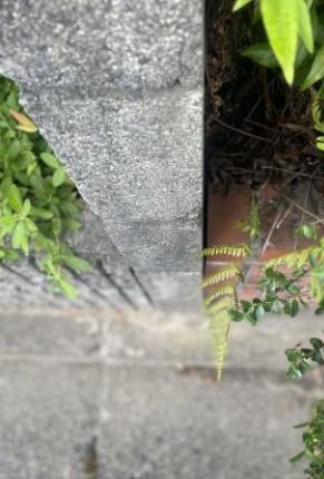 大津市和邇高城の土地