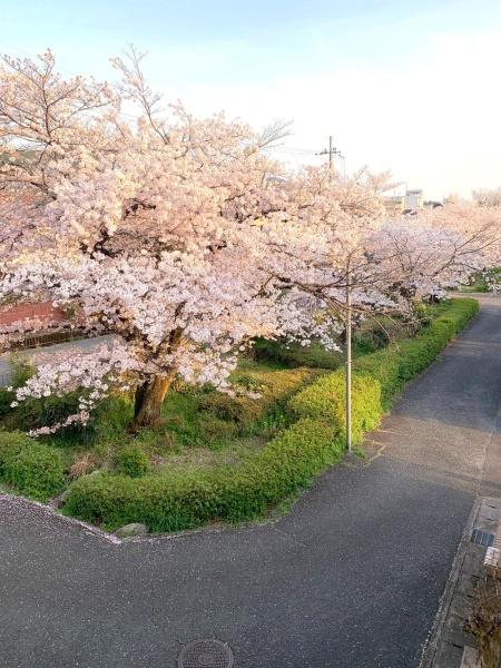 京都市左京区山端柳ケ坪町の中古一戸建て