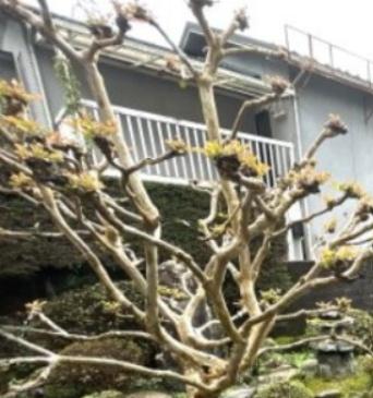 京都市左京区八瀬秋元町の中古一戸建て