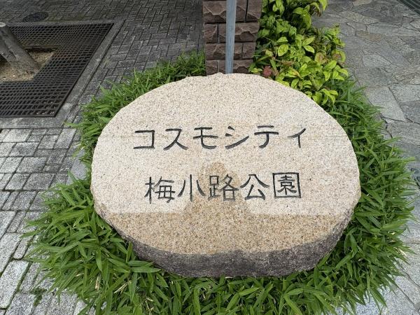 コスモシティ梅小路公園