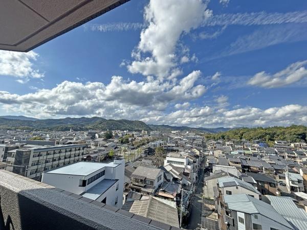 コスモ紫野