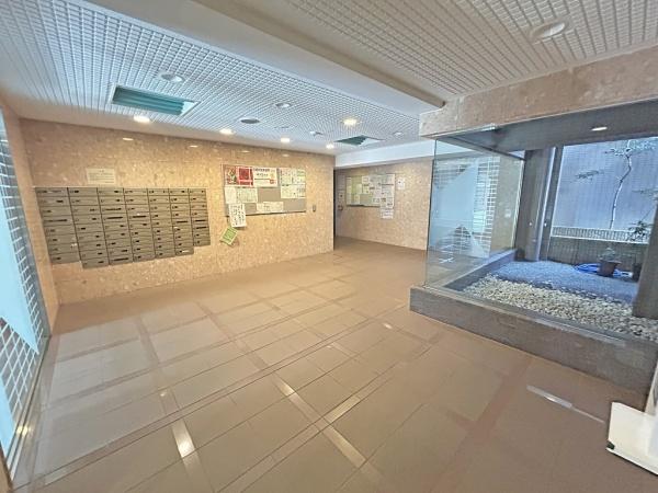 コスモ紫野