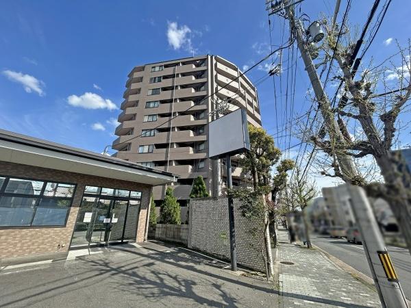 コスモ紫野