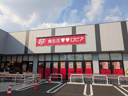 大阪市淀川区新高６丁目の土地(ロピア新高店)