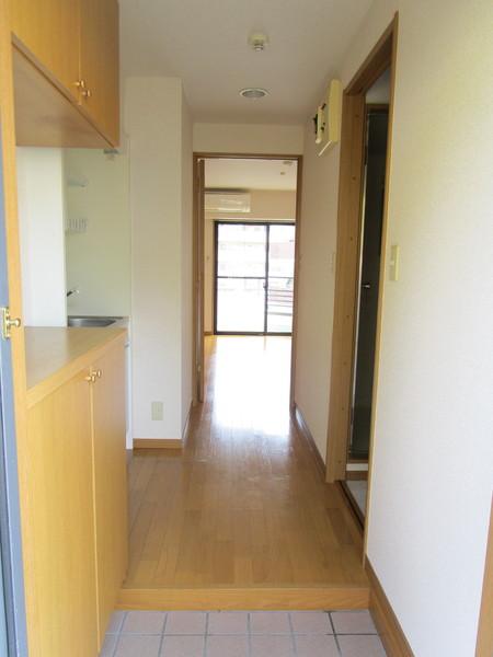 イデアーレツルカワ