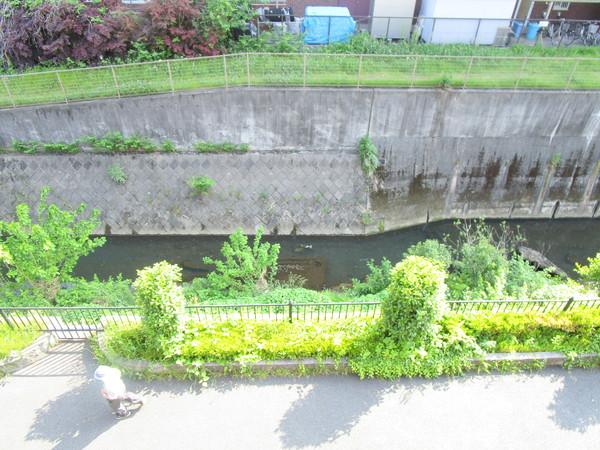 イデアーレツルカワ