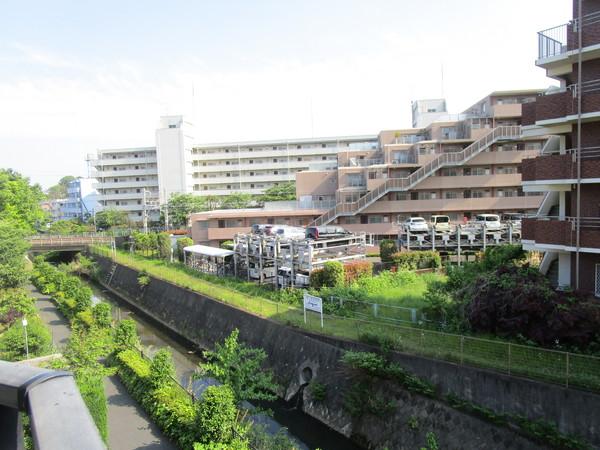 イデアーレツルカワ