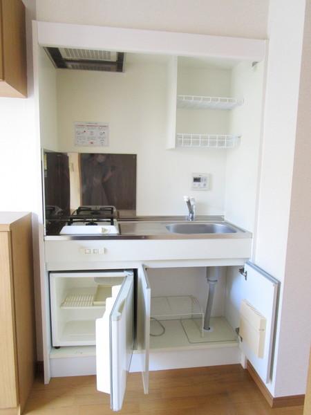 イデアーレツルカワ