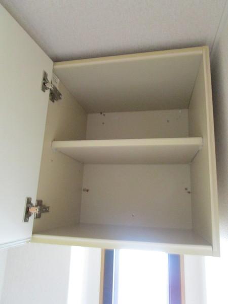 イデアーレツルカワ