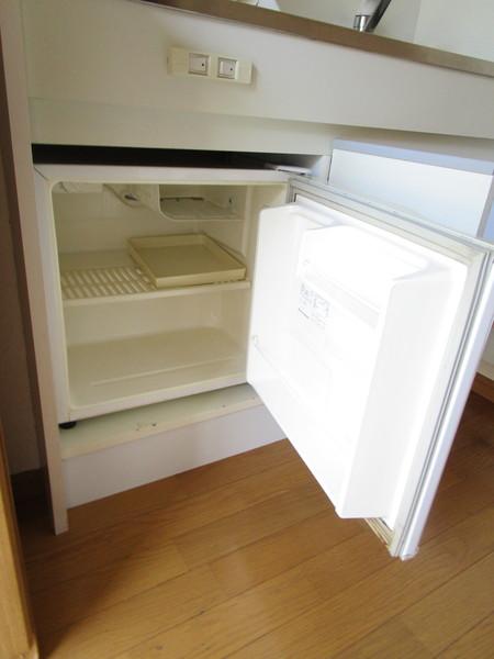 イデアーレツルカワ