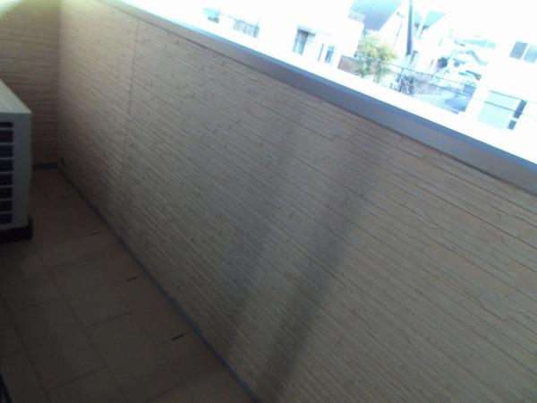 ビーズカラーリッチ