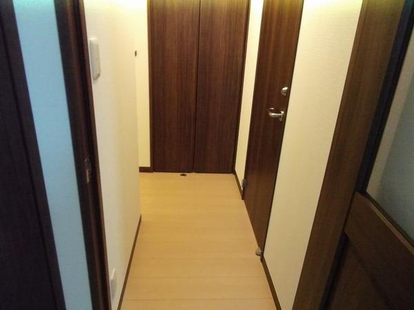 ビーズカラーリッチ