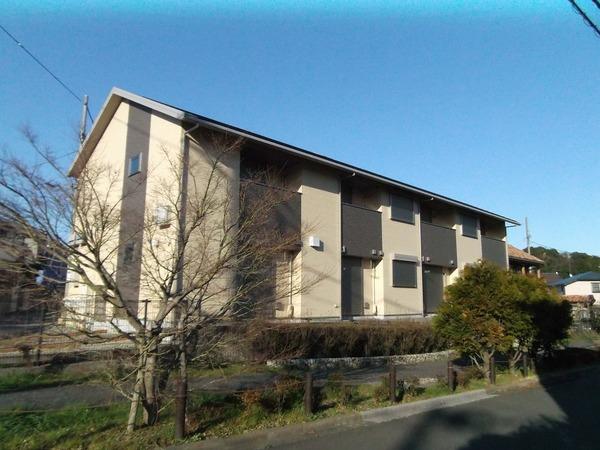 ビーズカラーリッチ