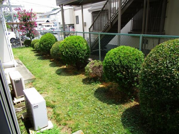 ラプラス鶴川