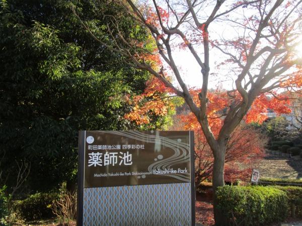 町田市野津田町のアパート(薬師池公園)