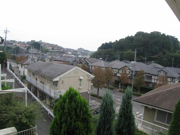 メイプルアイランド
