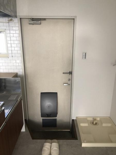 ラプラス鶴川