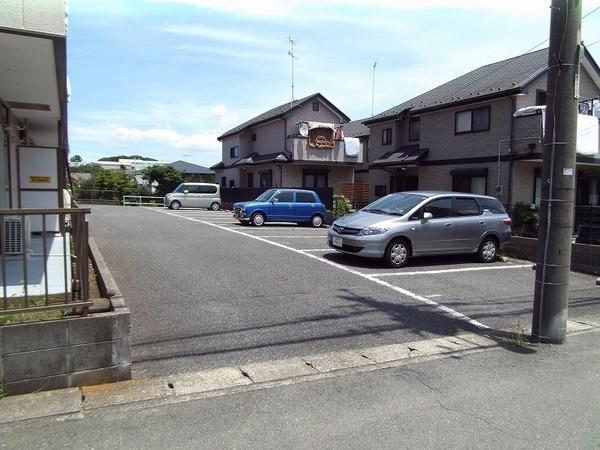 グランドールしらかば